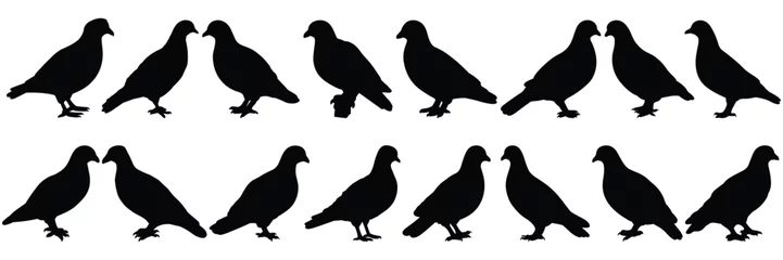 Fotobehang Bird pigeon silhouettes set, large pack of vector silhouette design, isolated white background © FutureFFX
