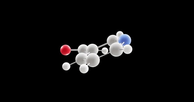 Niacin molecule, rotating 3D model of vitamer of vitamin b3, looped video on a black background