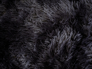 Gray carpet texture for home interior background.