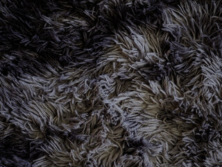 Gray carpet texture for home interior background.