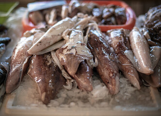 Great quantity of fresh seafood on ice on fish market