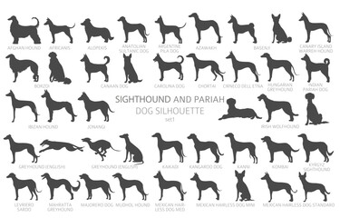 Dog breeds silhouettes simple style clipart. Hunting dogs Sightounds and pariah dogs collection