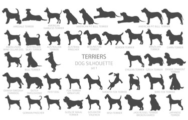 Dog breeds silhouettes, simple style clipart. Hunting dogs, Terrier collection - obrazy, fototapety, plakaty