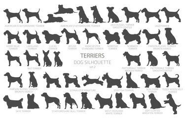 Dog breeds silhouettes, simple style clipart. Hunting dogs, Terrier collection - obrazy, fototapety, plakaty