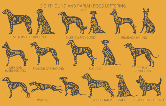 Dog breeds silhouettes with lettering, simple style clipart. Hunting dogs, sighthounds and pariah dogs collection