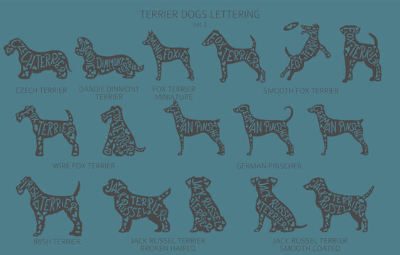Dog breeds silhouettes with lettering, simple style clipart. Hunting dogs, Terrier dogs collection
