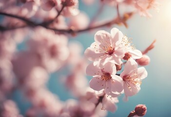 Spring blossom stock photoSpringtime Flower Pollen Allergy