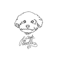 Cute poodle print, dog face with an inscription, continuous line drawing, puppy head pet small mini tattoo, print for clothes, silhouette one single line on white background, isolated vector.
