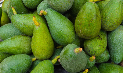 Close-up photo of avocados on the market stall