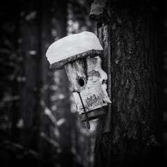 WINTER ATTACK - Snow on a nesting box for birds
