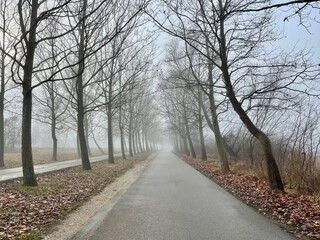 Hungarian forest hiking trail in the Balaton region