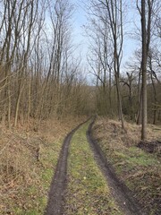 Hungarian forest hiking trail in the Balaton region