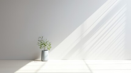 Potted plant in sunlight, casting long shadows on a white wall.