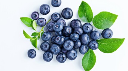 Fresh Blueberries With Leaves on a White Background