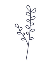 Floral element of a set in aesthetic design. The delicate flower branch is beautifully depicted, offering a captivating addition to design work. Vector illustration.