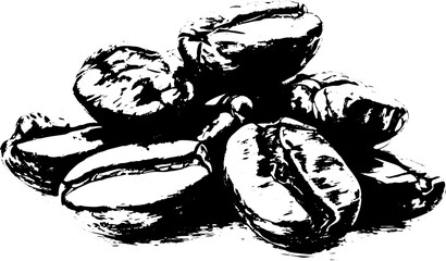 Coffee beans in hand drawn style , vector illustration. 