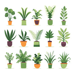 Fototapeta na wymiar Set of potted plants for home. Different indoor houseplants isolated on white background. Vector illustration