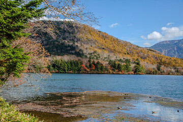 秋の奥日光湯の湖