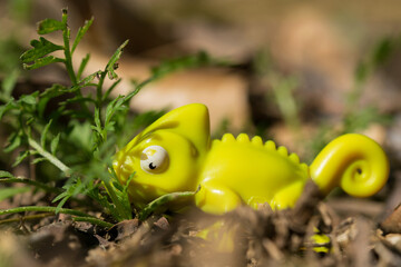 plastic chameleon toy in garden