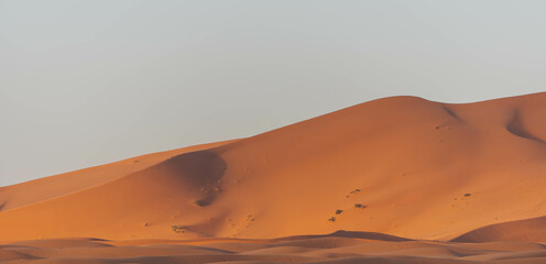 big sand dune detail in the desert morocco with orange color view sahara