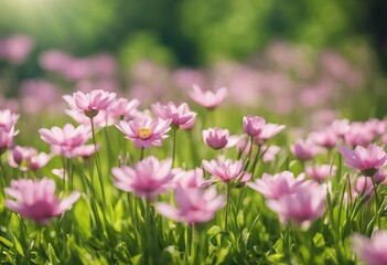 Fototapeta premium Springtime Nature Flower Green