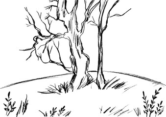 Black silhouettes of bare trees on a white background
