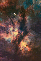 Fototapeta na wymiar IC 1318 (The Butterfly Nebula aka Sadr Region).