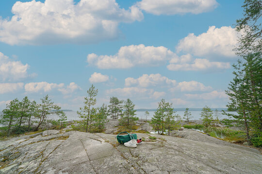 Landscape - fir trees on a rocky plateau under a blue sky with white clouds