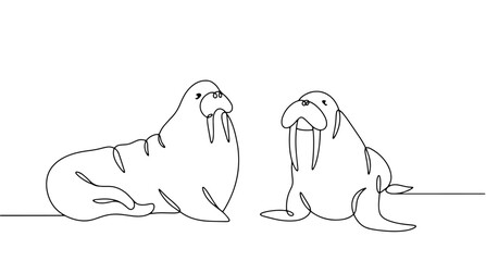 A pair of walruses. One line