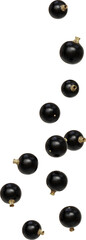 flying black currant
