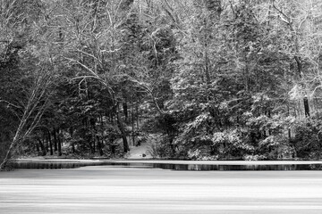 photograph of snow covered lake in the forest in black and white