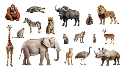 Collage collection of wild animals isolated on transparent white background