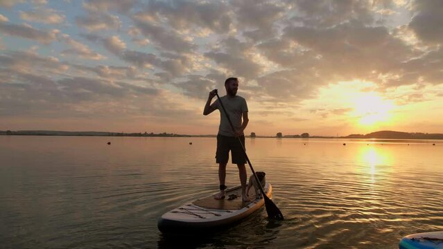 Silhouette of Man paddle boarding at lake during sunset together with pug dog. Concept of active tourism and supping with pets. Brave Dog Standing on SUP Board and enjoy lifestyle on summer vacation