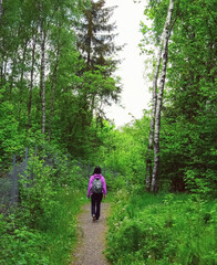 Obraz premium Hike trail hiker woman walking in spring nature woods during spring season. Hiking active people tourists wearing backpacks outdoors trekking in pine forest. 