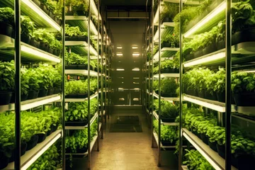 Foto op Plexiglas Vertical beds in home greenhouse with plant lighting. A dynamic stock photo illustrating innovative gardening for efficient and thriving plant growth © Людмила Мазур