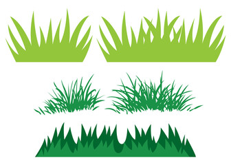 green grass, collection herb in flat style. flat colors design illustration isolated on white background