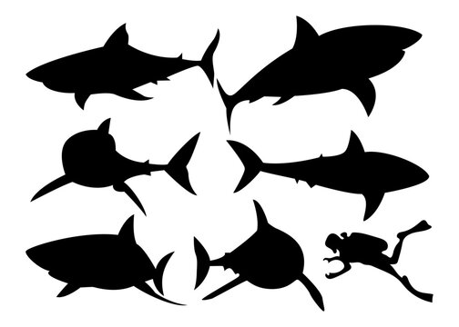 set of shark silhouettes in various poses. simple illustration. isolated on white background
