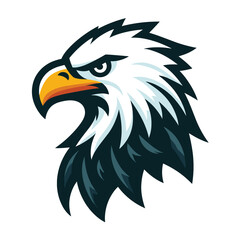 bird eagle hawk head logo mascot design vector illustration isolated on white background