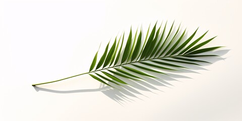 A large green leaf on a white background Generative AI