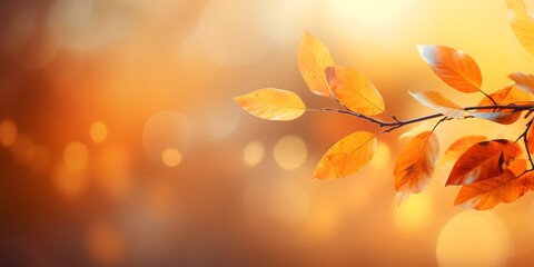 Naklejka na ściany i meble autumn colored leaf branch on abstract blurred yellow nature background with defocused sun lights, fall season concept banner with copy space