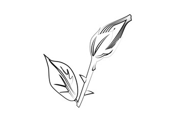 Icono de trazado negro dibujando una flor primaveral.