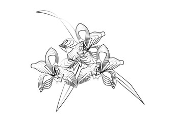 Icono de trazado negro dibujando una flor primaveral.