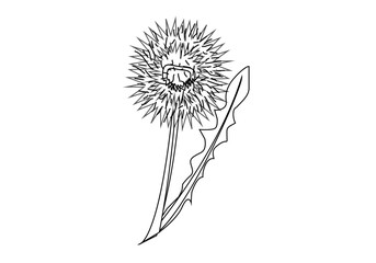 Icono de trazado negro dibujando una flor primaveral. - obrazy, fototapety, plakaty
