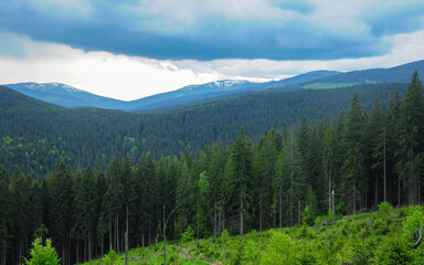 Stormy clouds over snowed mountain peaks. Grey clouds are covering the wild coniferous forests of Cindrel mountains. The mountain tops are still snowed. Spring time, Carpathia, Romania.