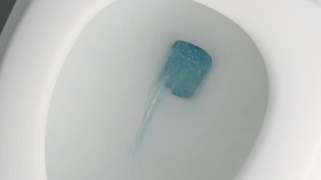 Clean flush toilet after the stools that are bleeding because of hemorrhoids. Blood from hemorrhoids or menstruation in the flushed toilet.