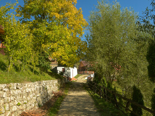 A stone pavement inside a rural Orthodox monachal settlement in Carpathian Mountains. Along the alley, a fence borders several orchards and vintage houses. Autumn season, trees are colorful. 