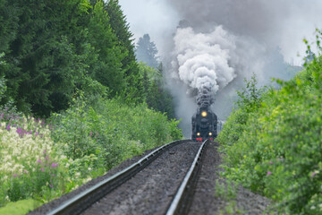 Retro steam train moves through the forest.