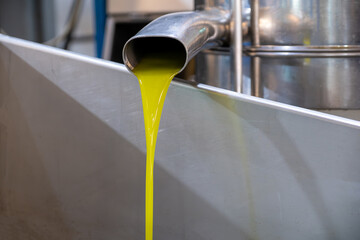 Stainless steel pipe pouring fresh virgin olive oil heat pressed