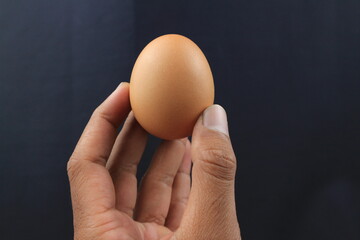 female teen hand holding brown chicken egg isolated on black background