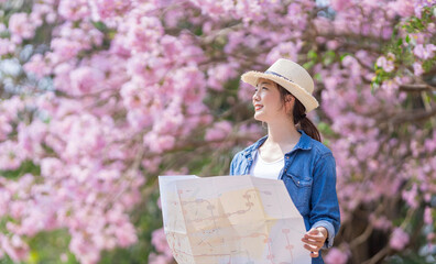 Asian woman tourist holding city map while walking in the park at cherry blossom tree during spring...